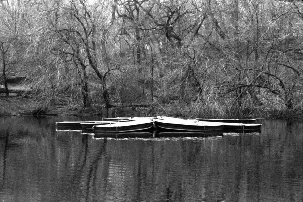Central Park Rowboats Together art print by Jace Grey for $57.95 CAD
