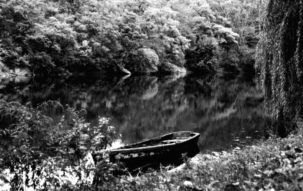 Central Park Rowboat art print by Jace Grey for $57.95 CAD