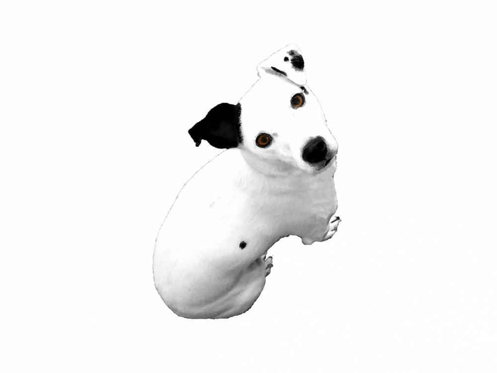Jack Russell Buddy 1 art print by Jace Grey for $57.95 CAD