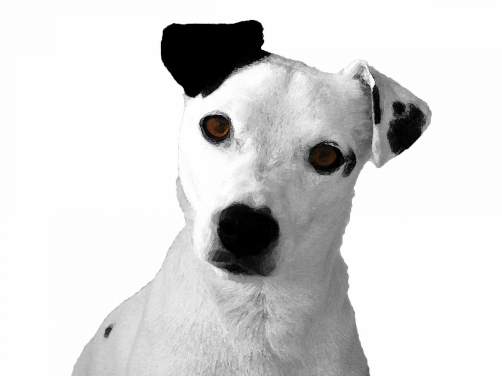 Jack Russell Buddy 2 art print by Jace Grey for $57.95 CAD