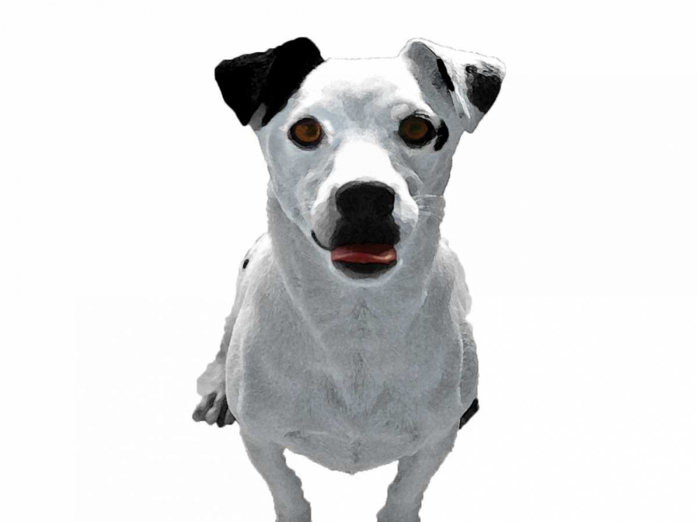 Jack Russell Buddy 3 art print by Jace Grey for $57.95 CAD