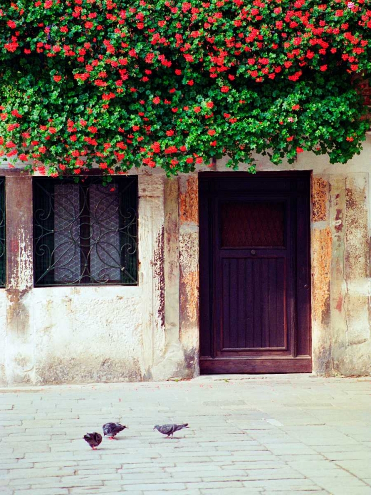 Venice Floral Overhang art print by Jace Grey for $57.95 CAD