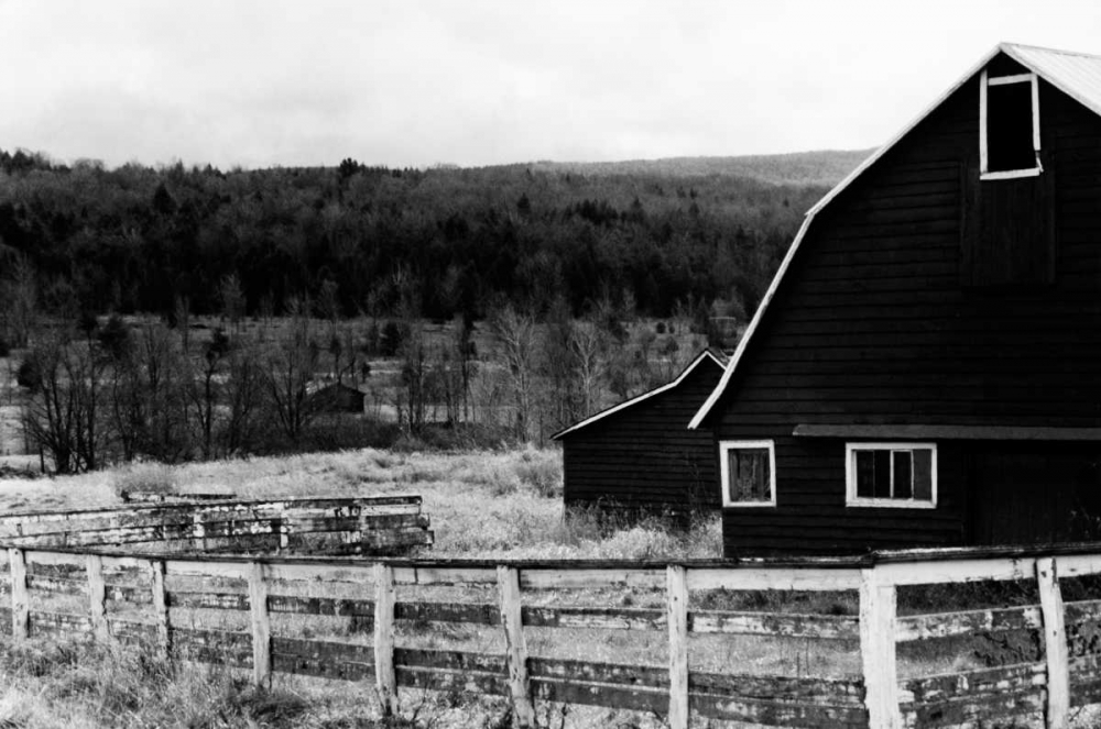 Rancher 2 art print by Jeff Pica for $57.95 CAD