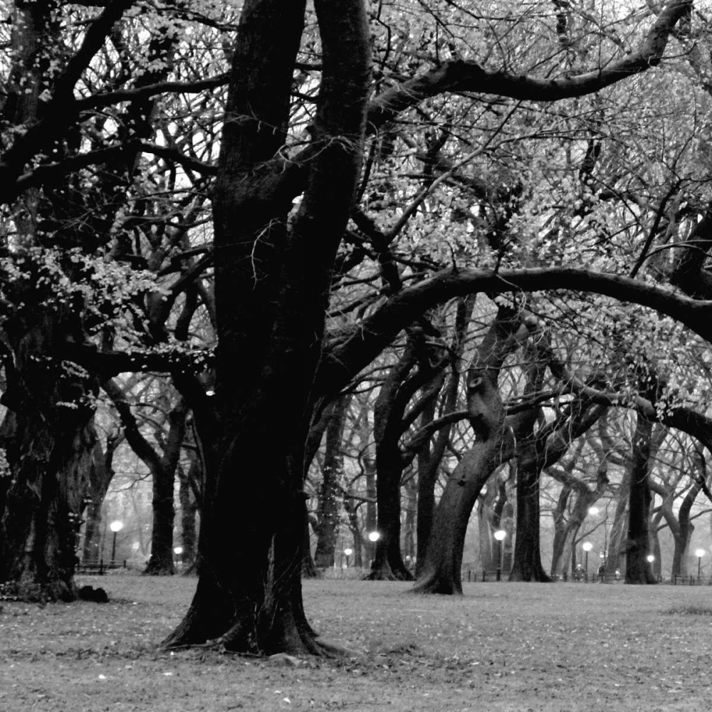 Central Park 2A art print by Jace Grey for $57.95 CAD