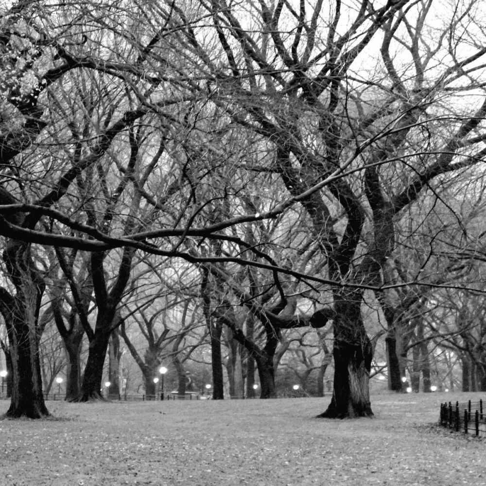 Central Park 2B art print by Jace Grey for $57.95 CAD