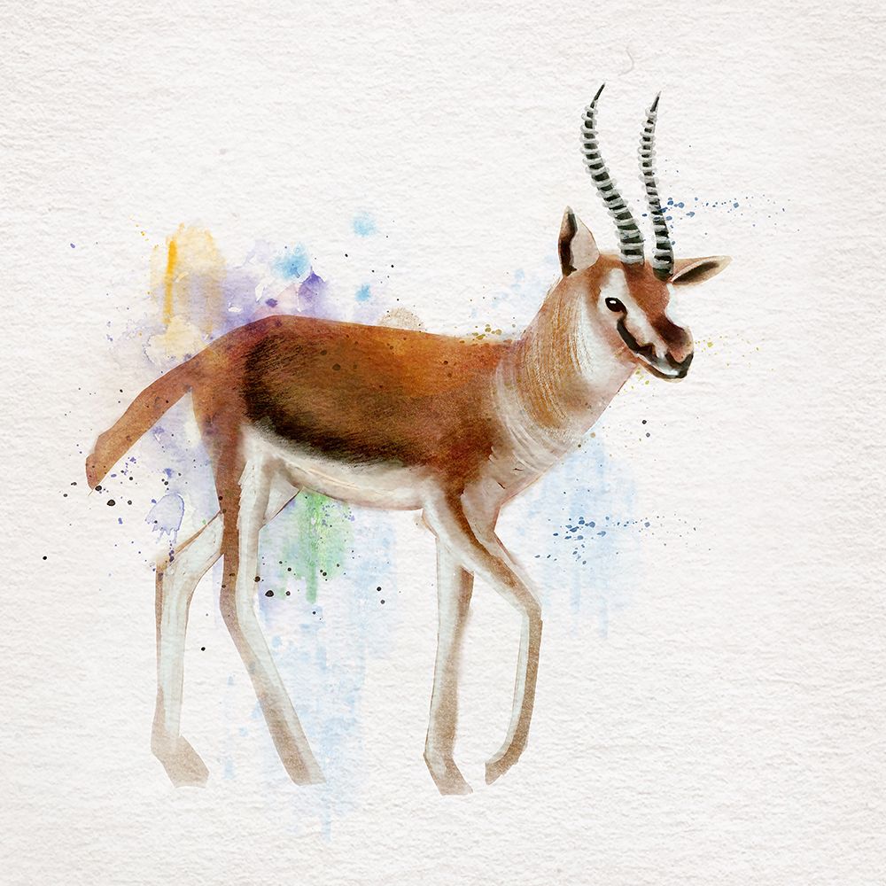Gazelle art print by Juliet Rose Philips for $57.95 CAD