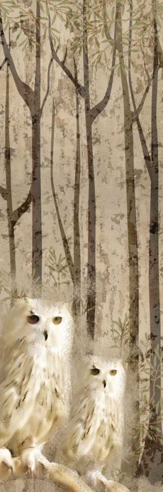 Owls In the Trees art print by Kimberly Allen for $57.95 CAD