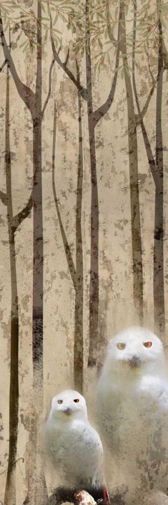 Owls in the Trees 2 art print by Kimberly Allen for $57.95 CAD