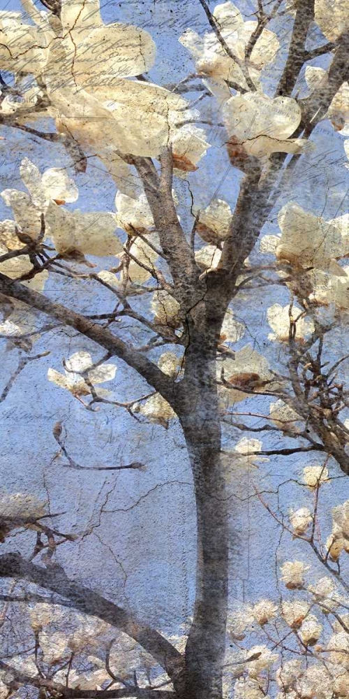 Magnolia Panel 1 art print by Kimberly Allen for $57.95 CAD