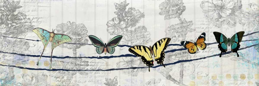 Butterfly Day art print by Kimberly Allen for $57.95 CAD