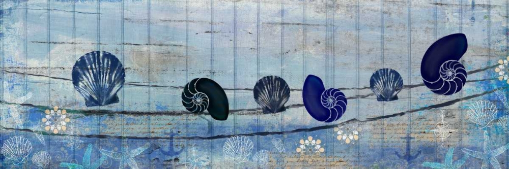 Coastal Shells art print by Kimberly Allen for $57.95 CAD