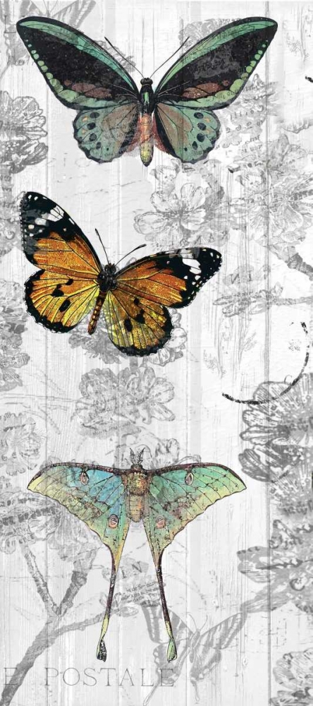 Butterflies Are Free 1 art print by Kimberly Allen for $57.95 CAD