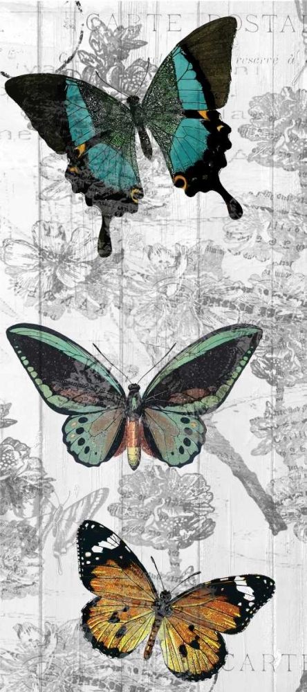 Butterflies Are Free 2 art print by Kimberly Allen for $57.95 CAD