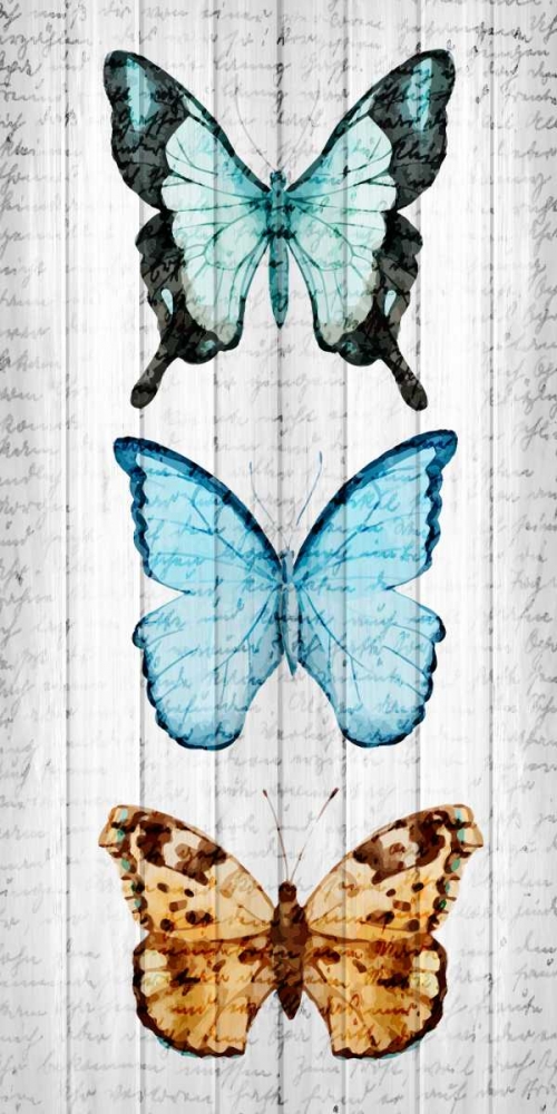Vintage Butterfly 1 art print by Kimberly Allen for $57.95 CAD