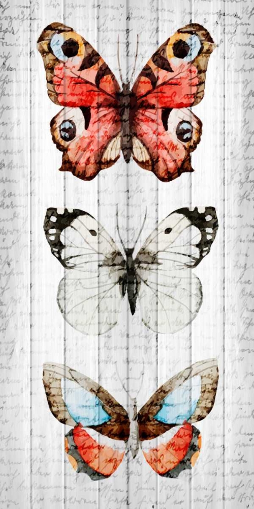 Vintage Butterfly 2 art print by Kimberly Allen for $57.95 CAD