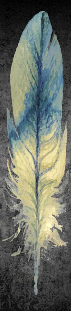 Feather on Black 1 art print by Kimberly Allen for $57.95 CAD