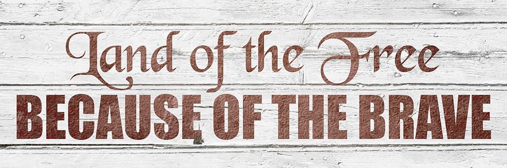 Land of the Free art print by Kimberly Allen for $57.95 CAD