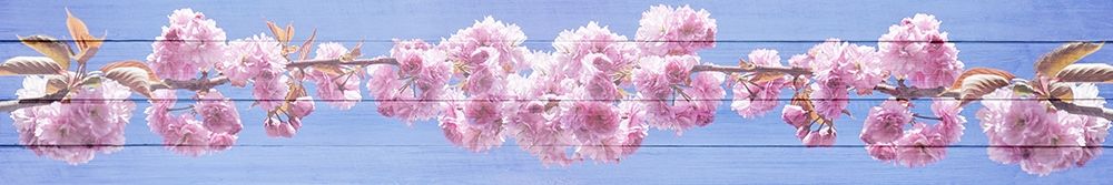 Pink Blossoms art print by Kimberly Allen for $57.95 CAD