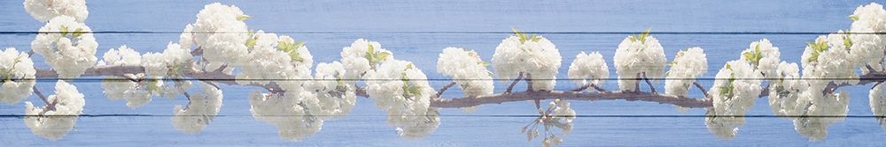 White Blossoms art print by Kimberly Allen for $57.95 CAD