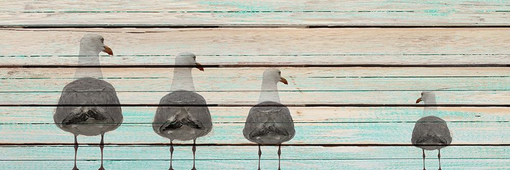 Seagulls art print by Kimberly Allen for $57.95 CAD