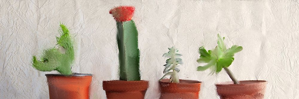 Potted Row art print by Kimberly Allen for $57.95 CAD
