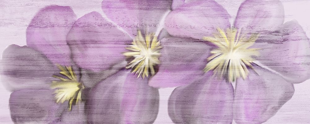 Violet Clematis art print by Kimberly Allen for $57.95 CAD