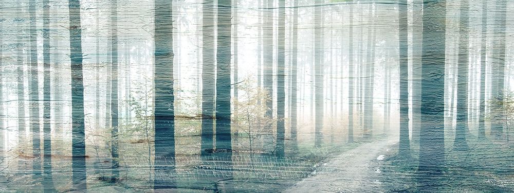 Forest Road art print by Kimberly Allen for $57.95 CAD