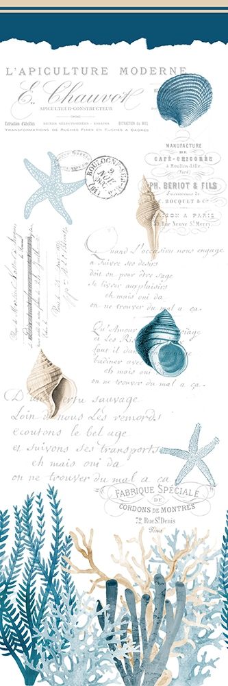 Coral Cove Blue art print by Kimberly Allen for $57.95 CAD