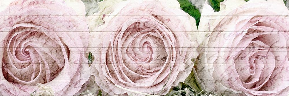 Three Roses art print by Kimberly Allen for $57.95 CAD