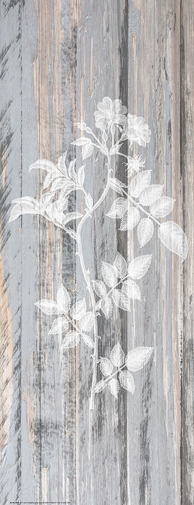 Botanical Wood 1 art print by Kimberly Allen for $57.95 CAD