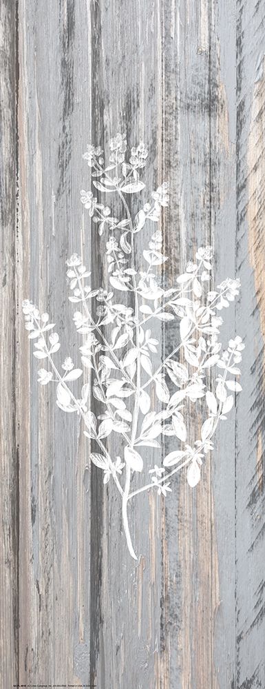 Botanical Wood 2 art print by Kimberly Allen for $57.95 CAD