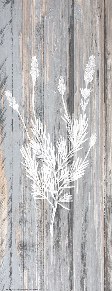 Botanical Wood 3 art print by Kimberly Allen for $57.95 CAD