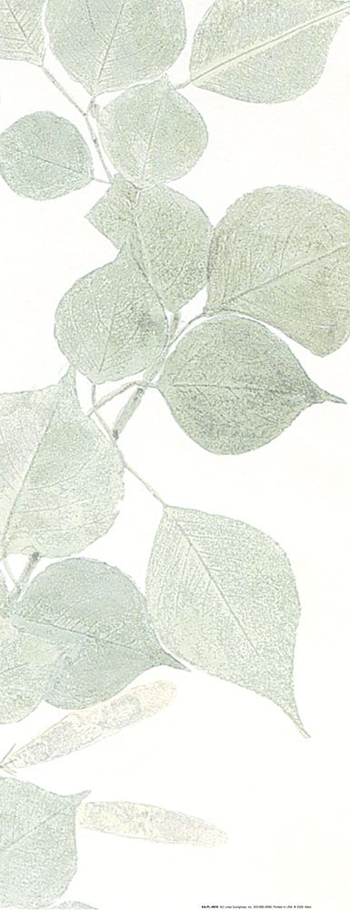 Soft Green 1 art print by Kimberly Allen for $57.95 CAD
