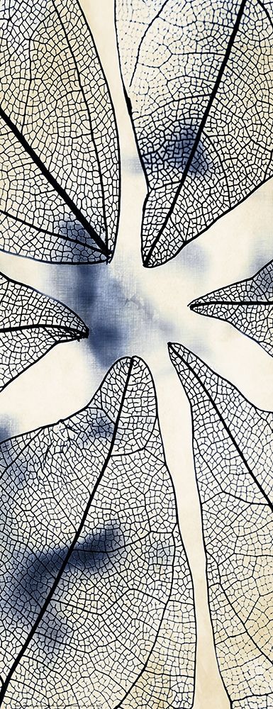 Transparent 1 art print by Kimberly Allen for $57.95 CAD