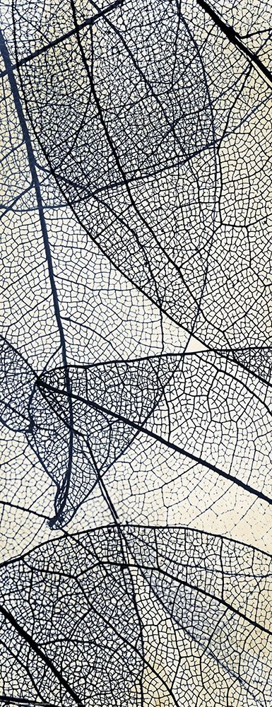 Transparent 2 art print by Kimberly Allen for $57.95 CAD