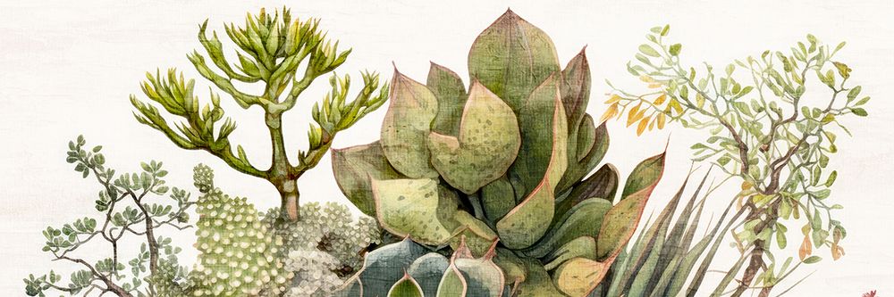 Succulent Panel 2 art print by Kimberly Allen for $57.95 CAD