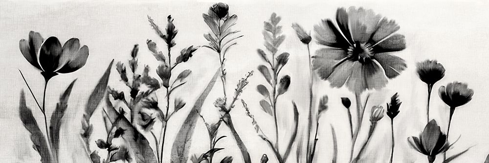 Black Wildflower Panel art print by Kimberly Allen for $57.95 CAD