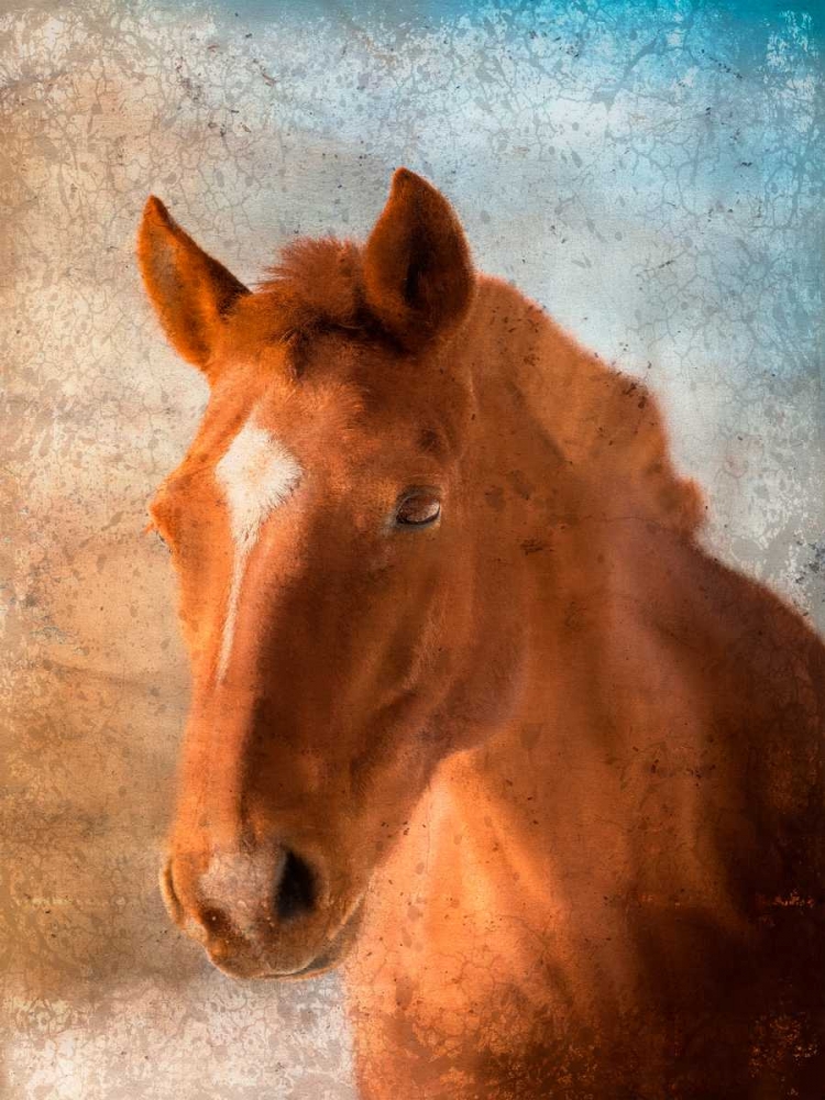 In Your Eyes art print by Kimberly Allen for $57.95 CAD