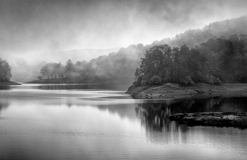 Dusk art print by Kimberly Allen for $57.95 CAD