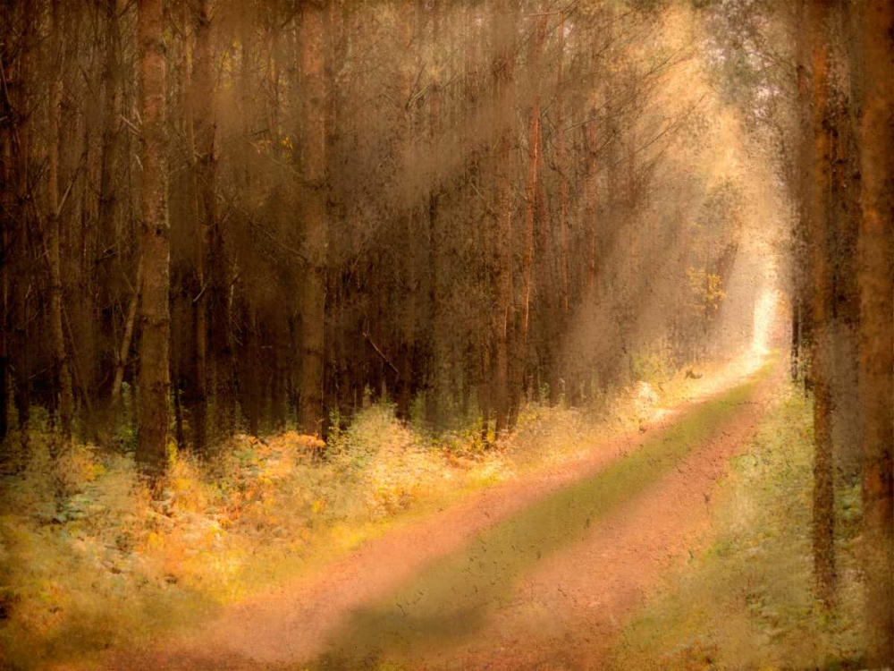 Road To Enlightenment art print by Kimberly Allen for $57.95 CAD
