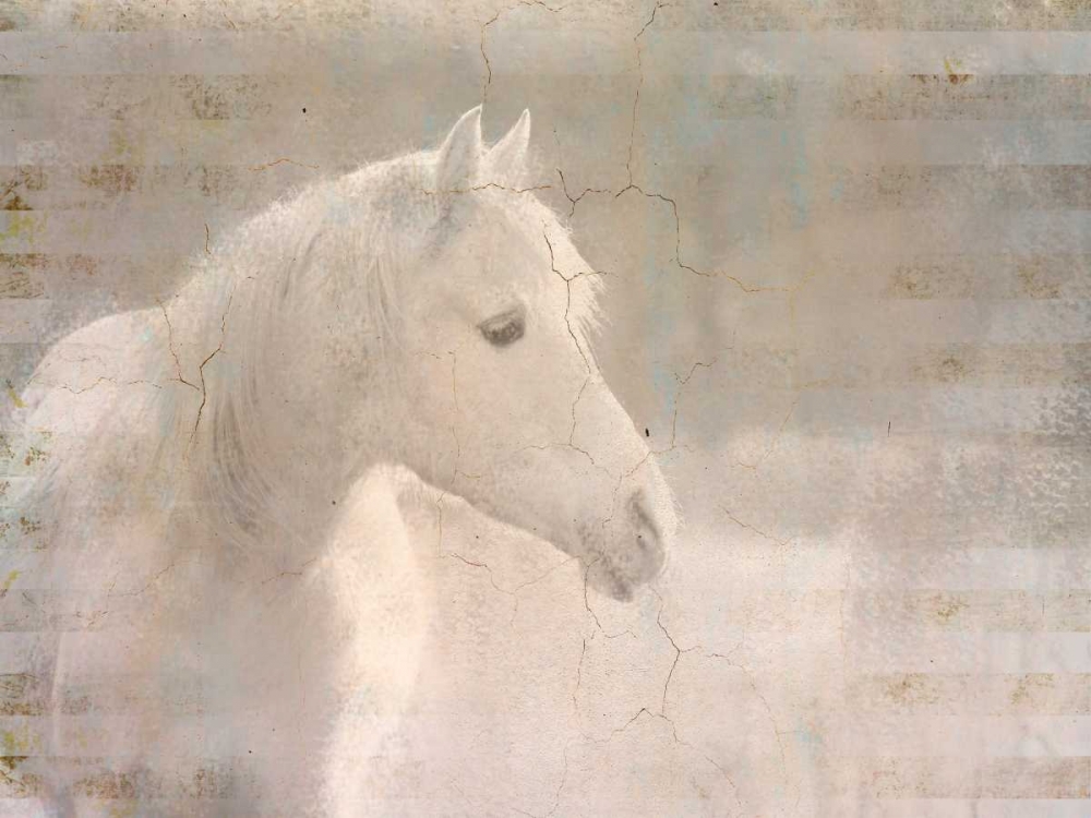 White Knight Serenity art print by Kimberly Allen for $57.95 CAD