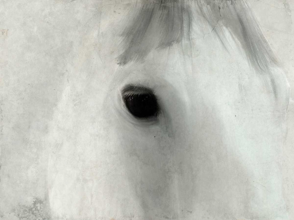 Serene Eyes art print by Kimberly Allen for $57.95 CAD