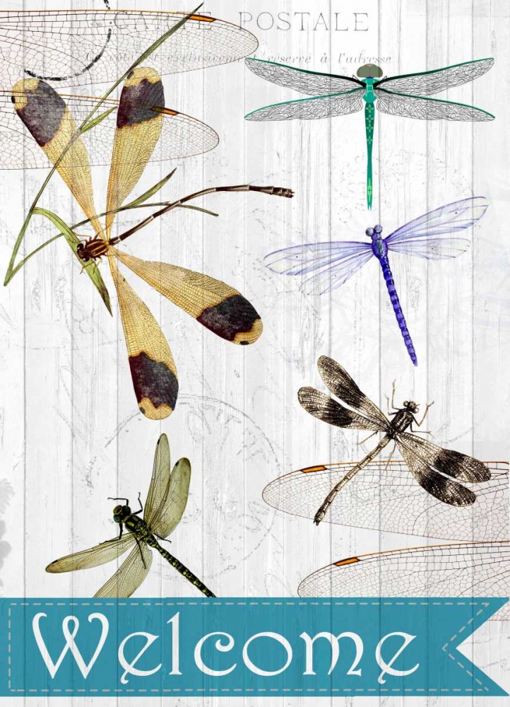 Welcome Dragonflies art print by Kimberly Allen for $57.95 CAD