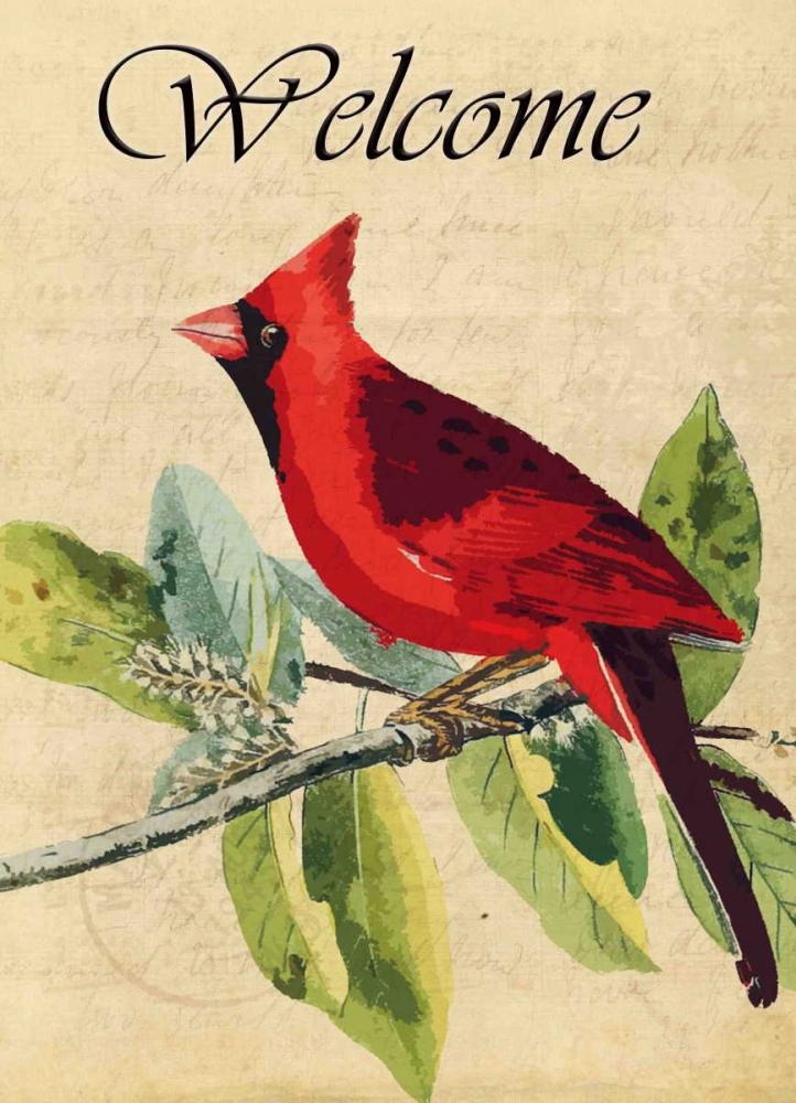 Cardinal Welcome art print by Kimberly Allen for $57.95 CAD