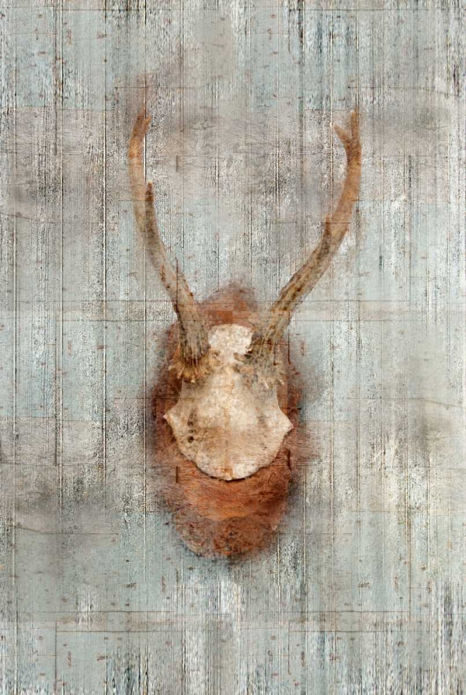 Antlers 1 art print by Kimberly Allen for $57.95 CAD