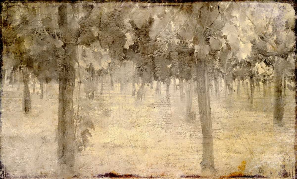 Vineyard art print by Kimberly Allen for $57.95 CAD