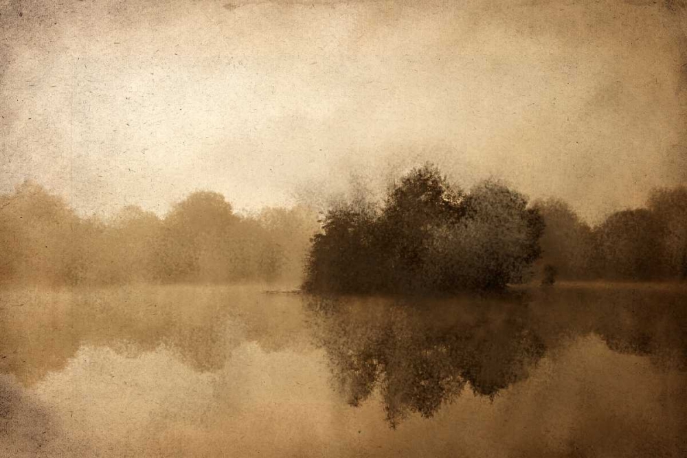 In the Morning art print by Kimberly Allen for $57.95 CAD