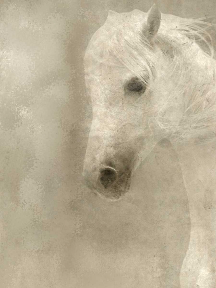 White Main art print by Kimberly Allen for $57.95 CAD