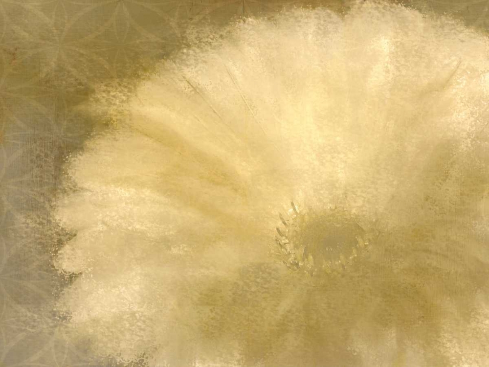 Golden Petals art print by Kimberly Allen for $57.95 CAD