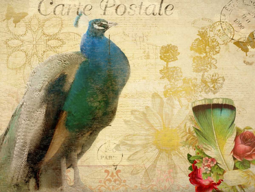 Postcard Peacock art print by Kimberly Allen for $57.95 CAD